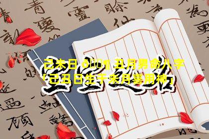 己未日 🐶 丑月男命八字「己丑日生于未月喜用神」